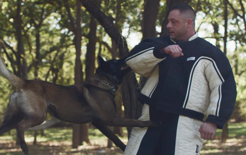 Steve Scott with his professionally trained K9