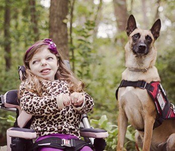 Child with malinois guard dog from scotts k9