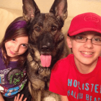 Children with German Shepherd Protection Dog