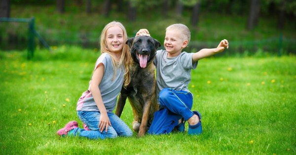Children with Malinois Guard Dog Safe