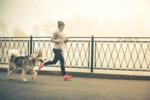 Run with your dog