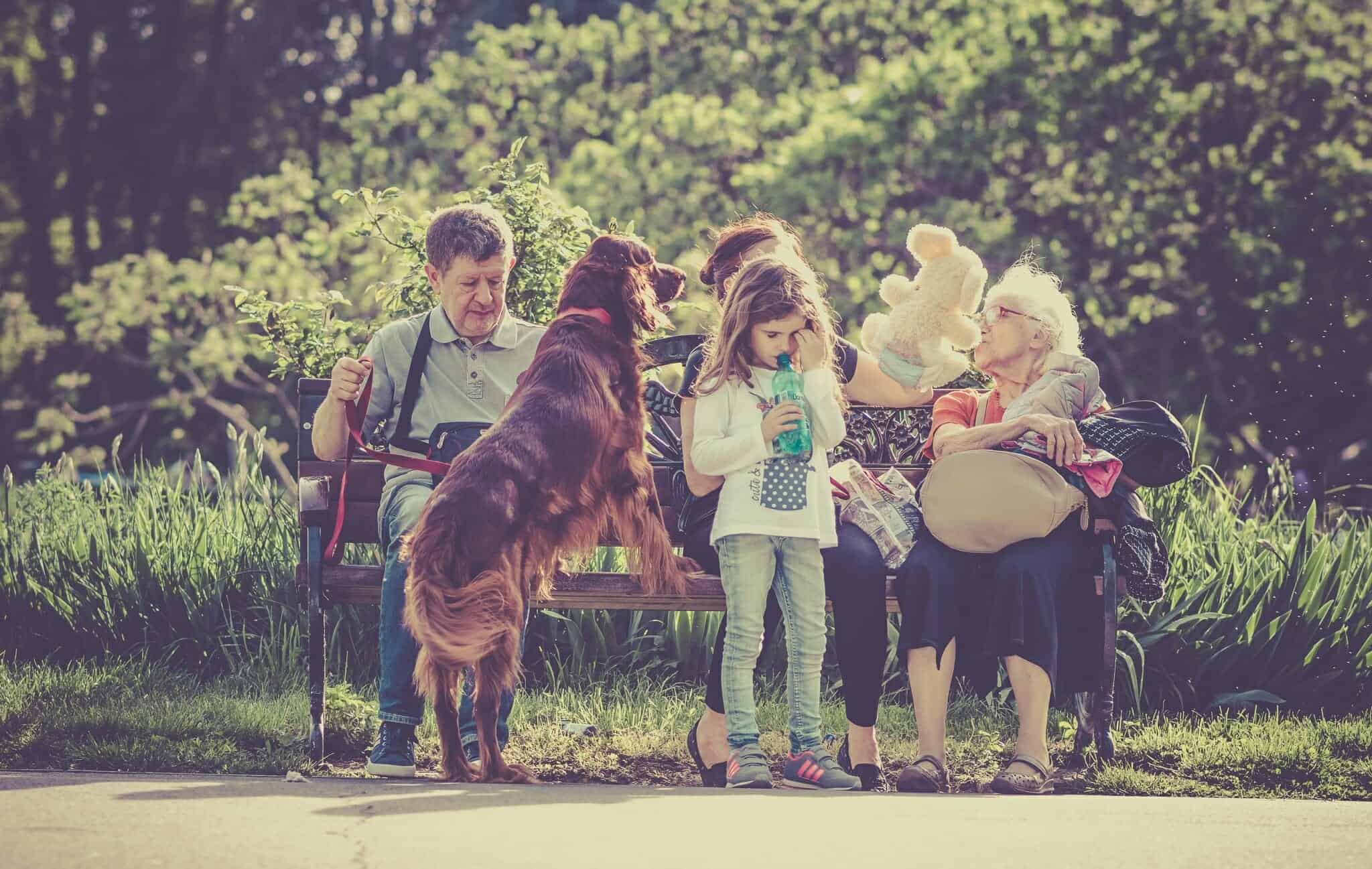 protection dog out with family