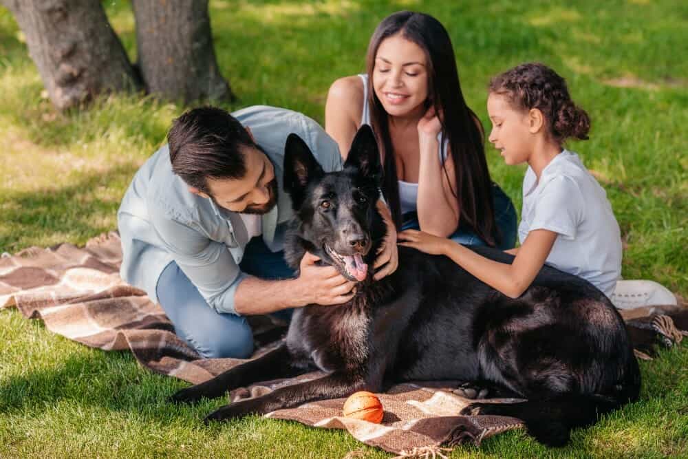 Family-with-Dog-at-Park-small