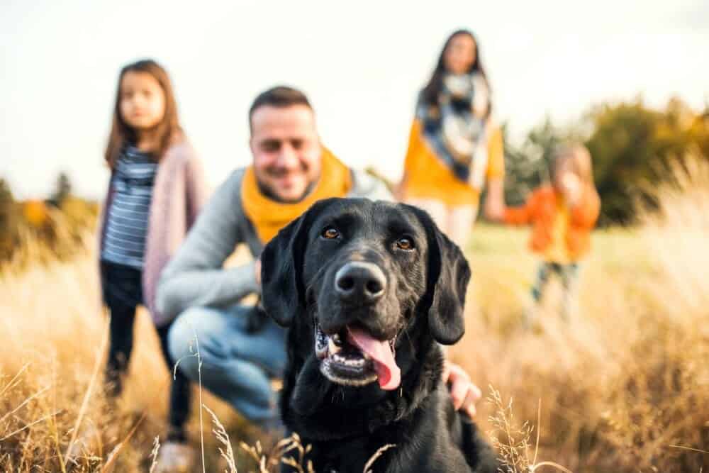 Family-with-Dog-small