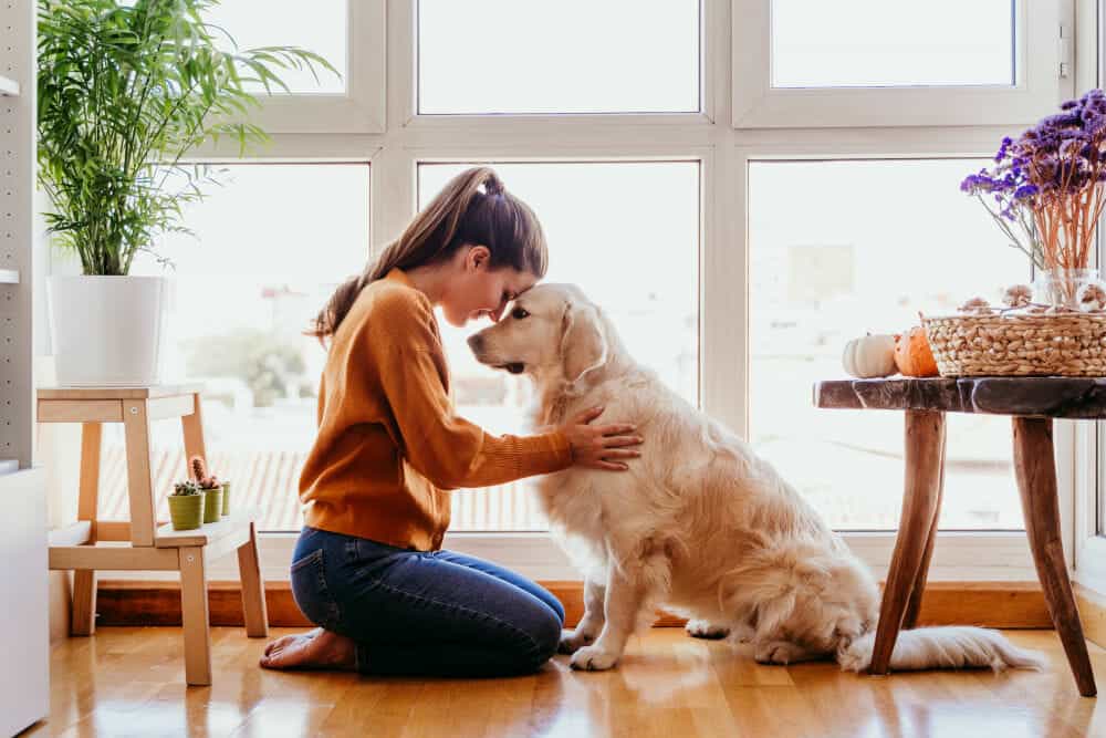 Woman-Holding-Dog_in-home_golden-retriever-small