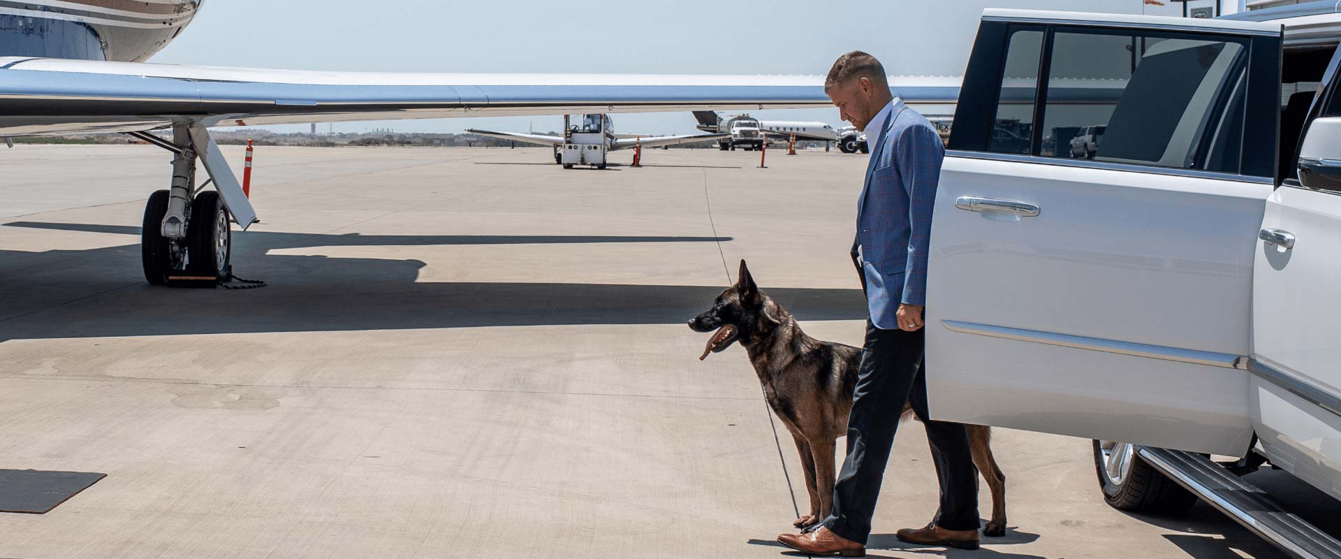 Meet UTPD's K9s Who Help Keep UT Safe : Police Department