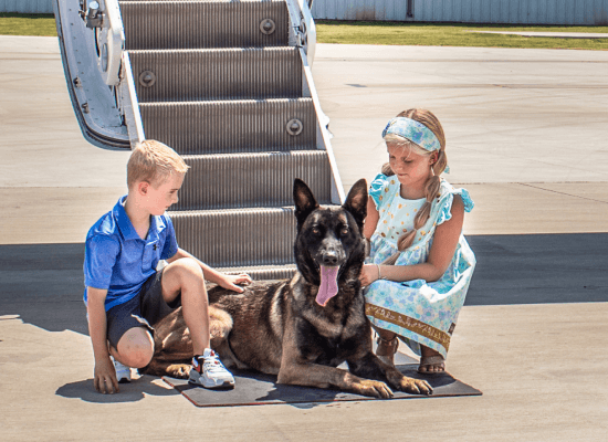 OUR DOGS ARE GREAT WITH CHILDREN