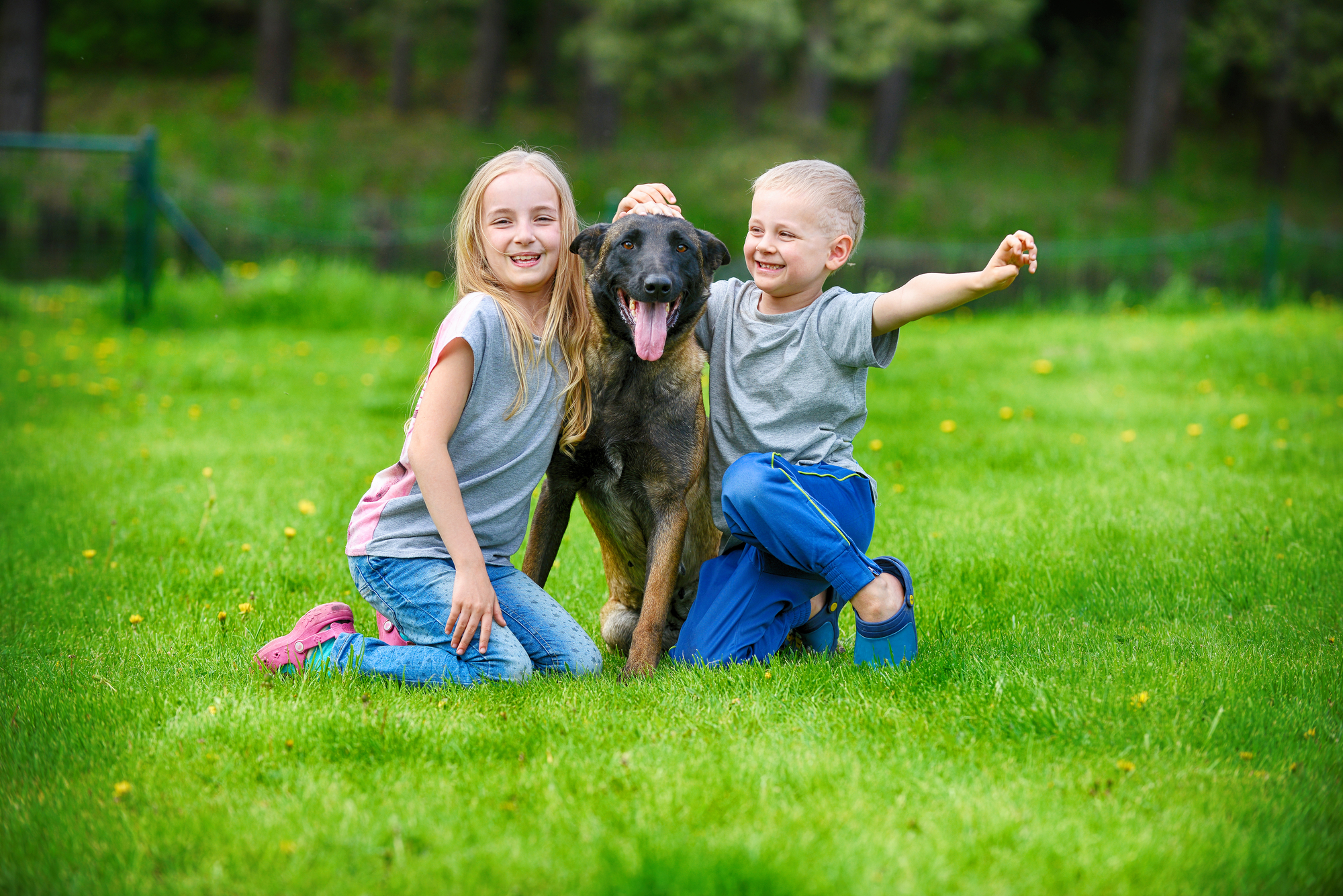 Can Protection Dogs Truly Be Trusted with Children