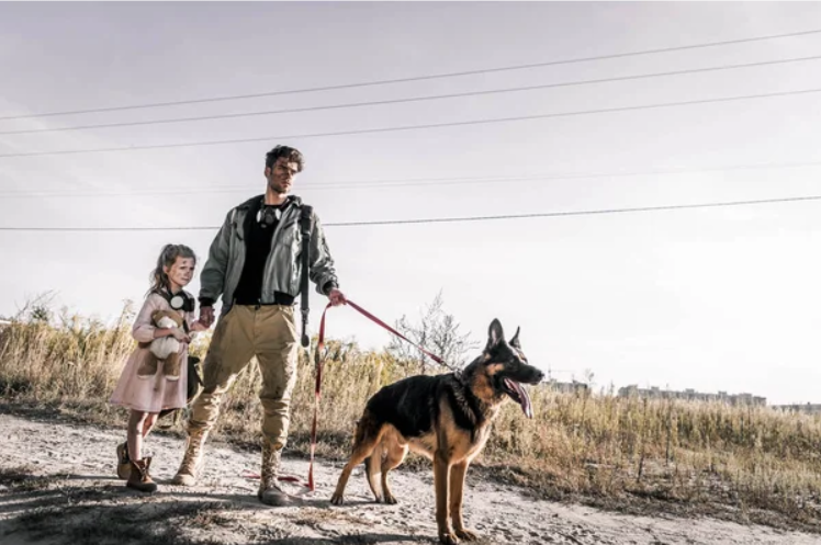 German Shephard Protection Dogs