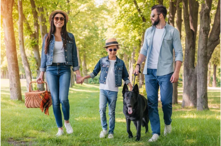 How to choose the protection dog for family