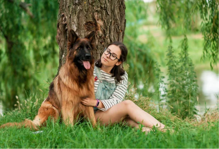 Choosing right protection dog for your family