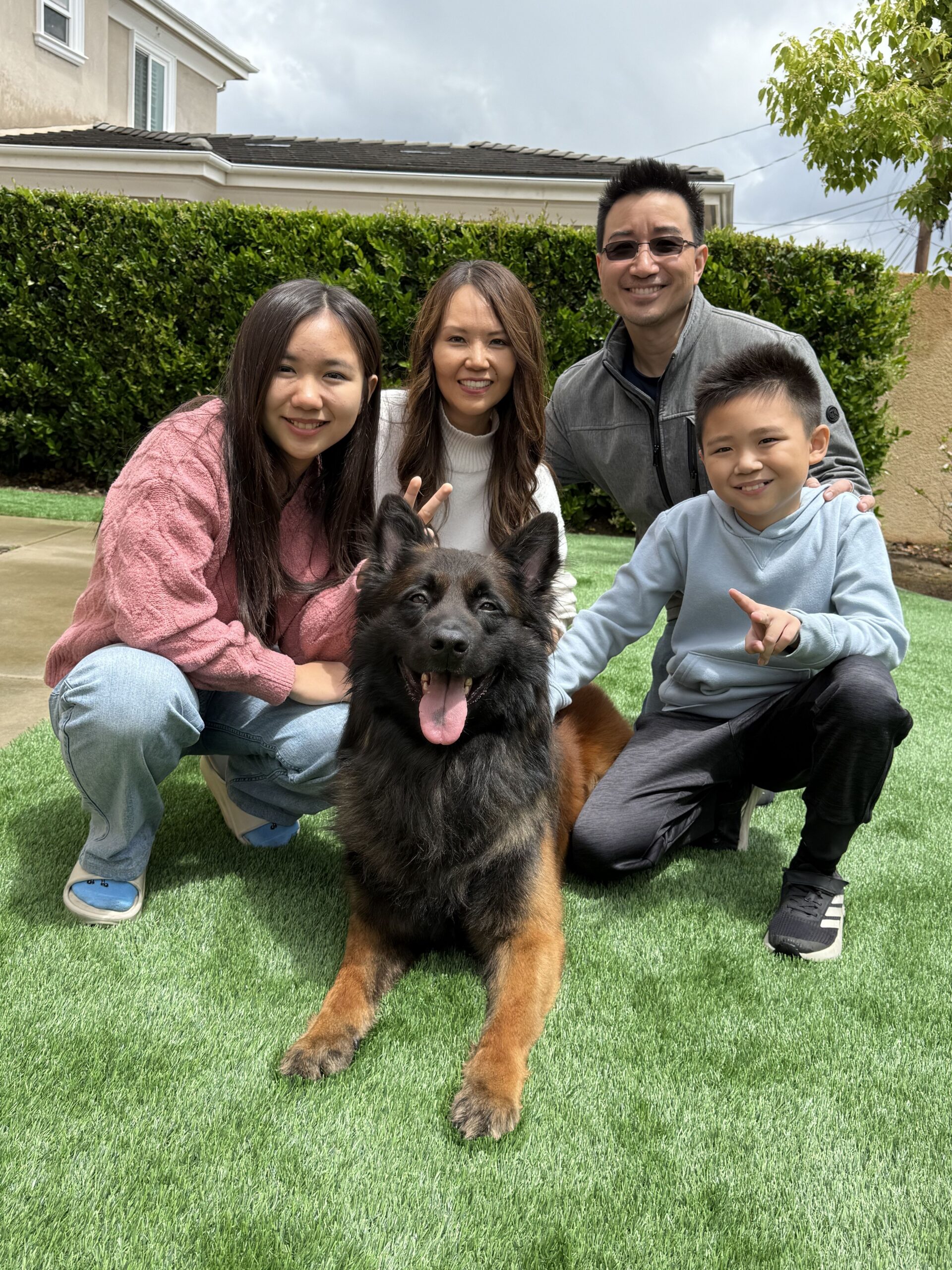 K & E family protection dog