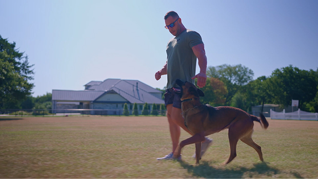 Dog training in progress